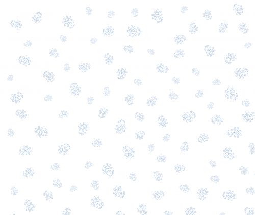 Daisy Blue Binca