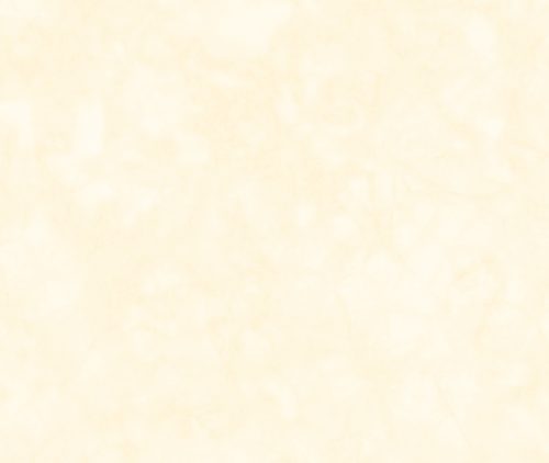 Buttermilk HDP Cotton Evenweave