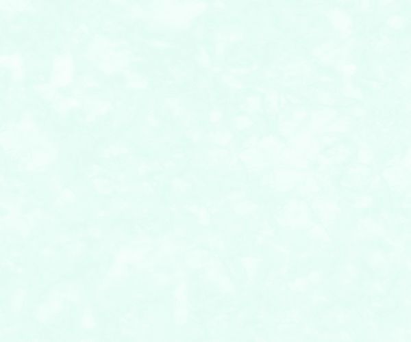 Horizon HDP Cotton Evenweave