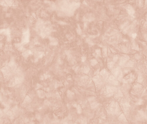 Mushroom HDP Aida