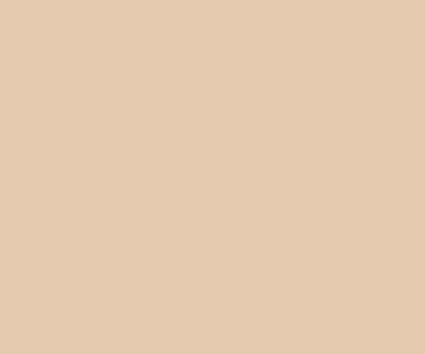 Stone Cotton Evenweave