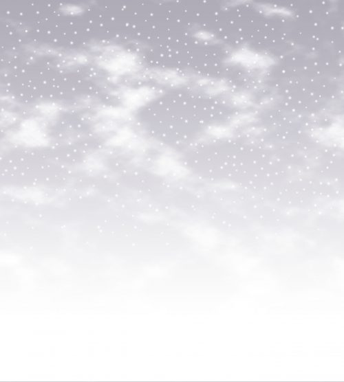 Snowy Days Grey Landscape Binca