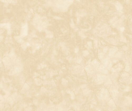 Stone HDP Cotton Evenweave