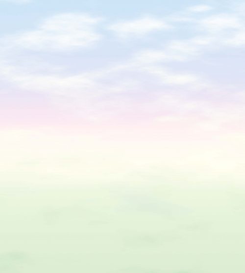 Fairy Meadow Binca
