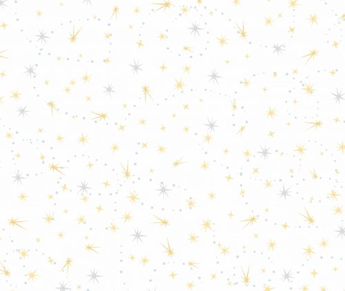 Fairy Dust Silver & Gold Binca