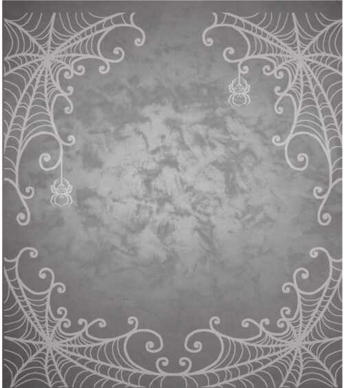 Spider Lace Grey Aida