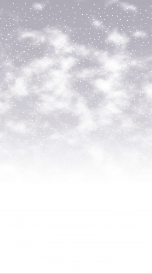 Snowy Days Grey Portrait Binca