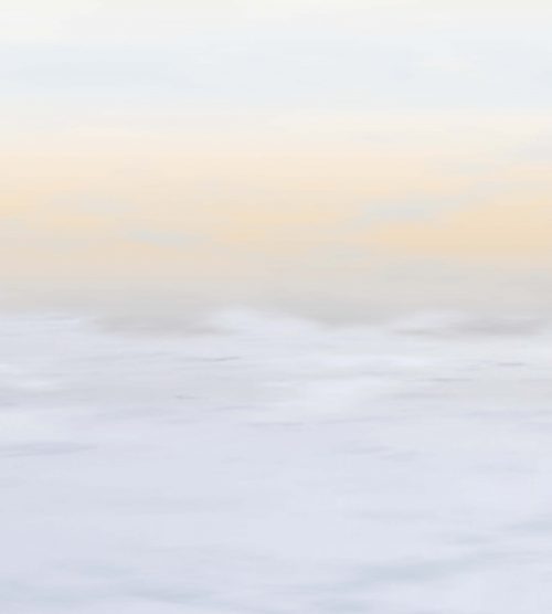Winter Meadow Binca