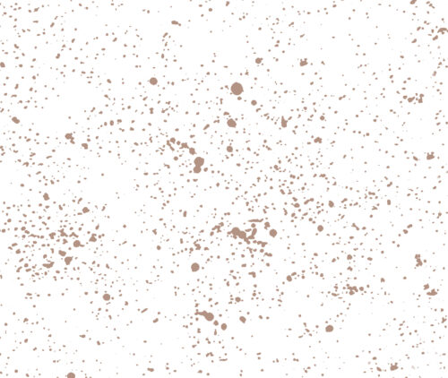 Splatter Mud Aida