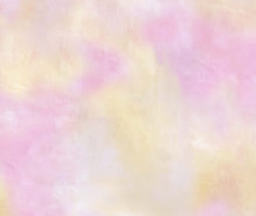 Summer Splash Cotton Evenweave