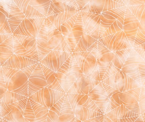 Cobweb Orange Aida
