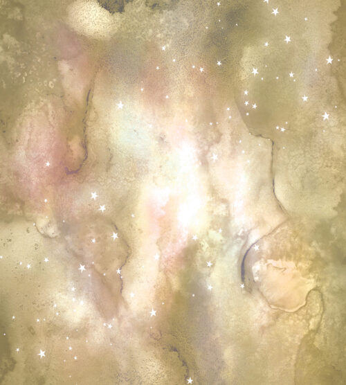 Creationist Golden Cotton Evenweave