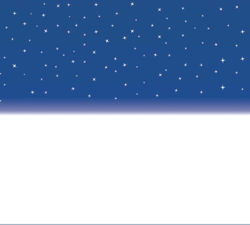 Snowy Night Cotton Evenweave